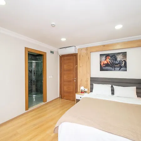 Aras Life Hotel 3*