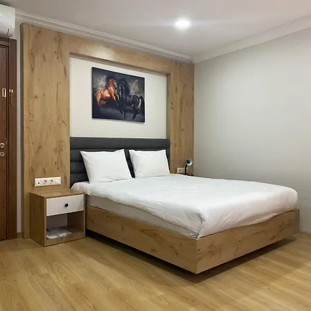 Aras Life Pansiyon 3* Istanbul