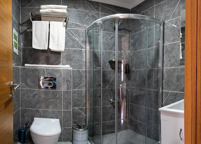 Hotel Aras Life Istambul