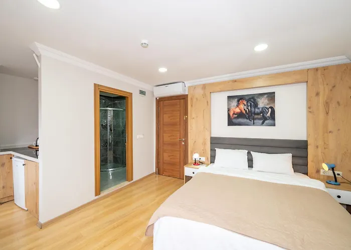 Aras Life Otel 3*